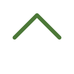 roof-5f46c77529a35
