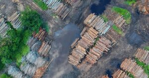 idapac idaho pacific lumber company wholesale building supplier