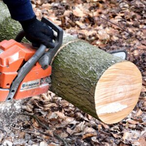 wood chainsaw