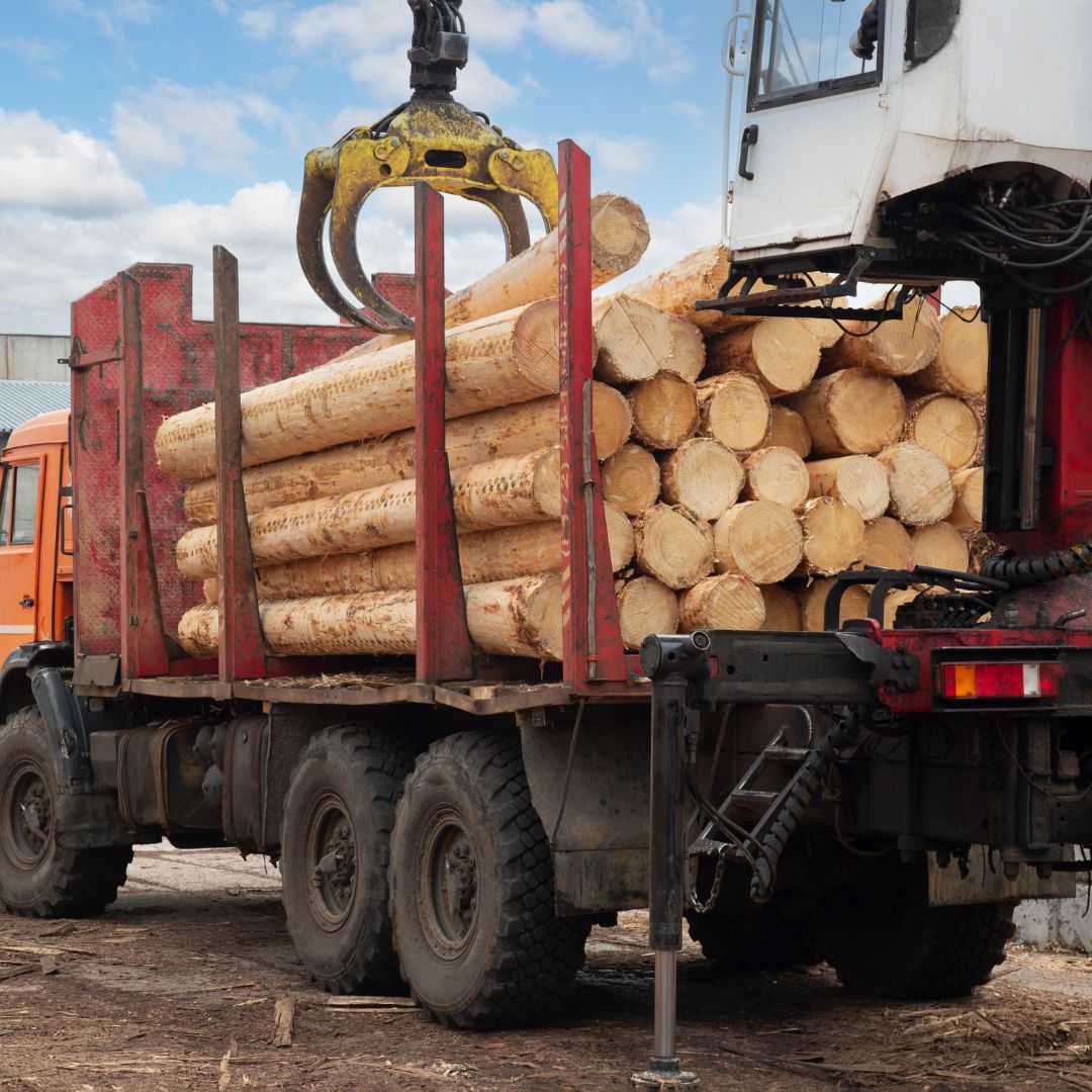 lumber being loaded on truck